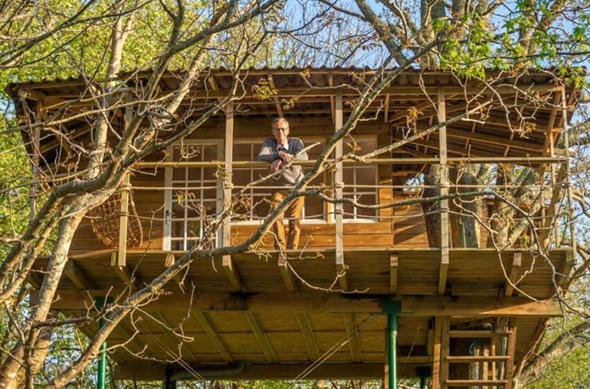  ¿Podría ser este TreeHouse el proyecto de jubilación definitivo?