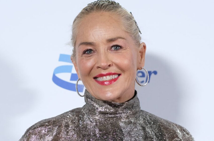  “Absolutamente hermosa”: Sharon Stone deslumbra con un vestido metálico brillante en fotos recientes de la alfombra roja