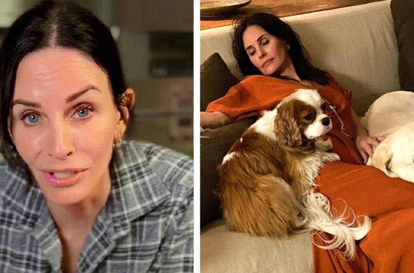  Courteney Cox vive en una casa de estilo “granero moderno” con sus perros, lo que le proporciona la privacidad que desea.