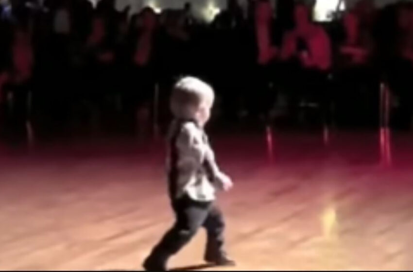  Niño pequeño escucha su canción favorita de Elvis y comienza a bailar, toda la multitud se parte de risa.