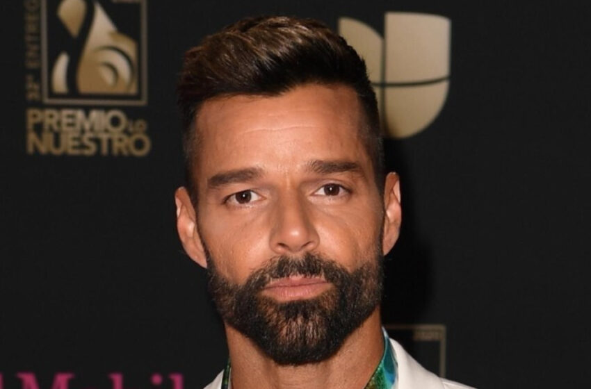  Los gemelos por gestación subrogada de Ricky Martin son tan “guapos” como su papá, según los fanáticos. Uno de ellos fue fotografiado con bigote.