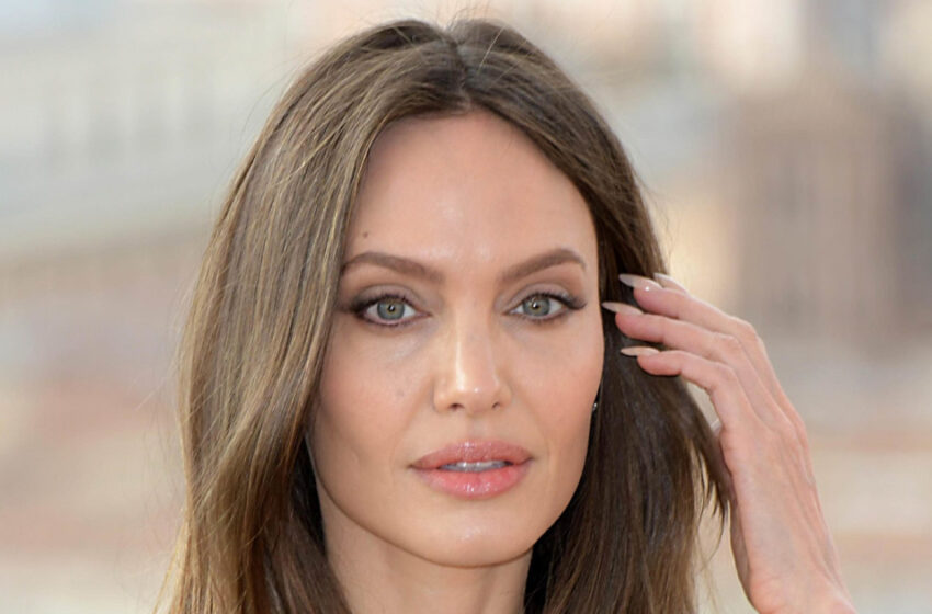  La vez que Angelina Jolie contrató a su propio hermano como niñero a tiempo completo para sus 6 hijos – Dentro de su relación.