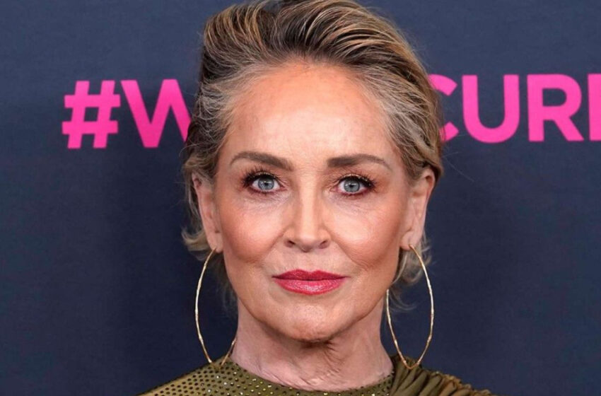  Sharon Stone luce un bikini a los 65 años, y los fans con ojo agudo observan un detalle interesante que tiene a todos hablando.