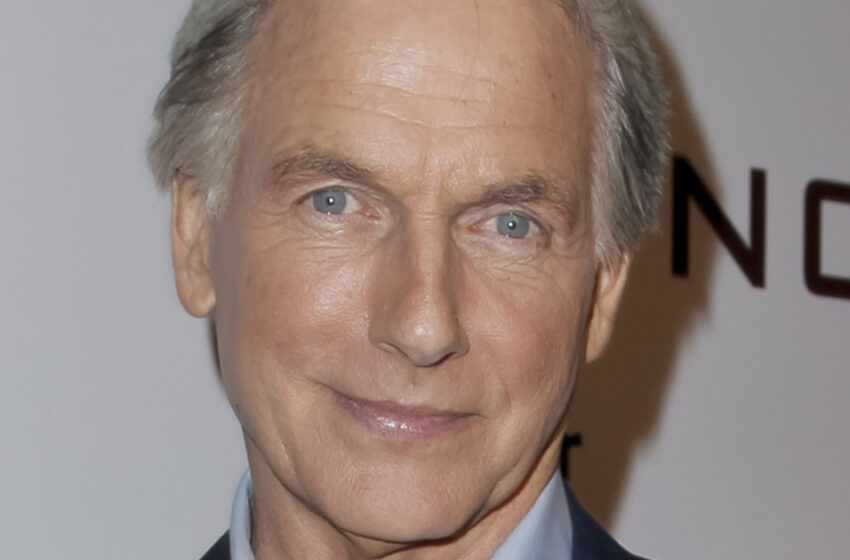  Los 2 hijos del actor de ‘NCIS’, Mark Harmon, con su esposa compañera de reparto durante 36 años, quien sacrificó la fama para ser madre