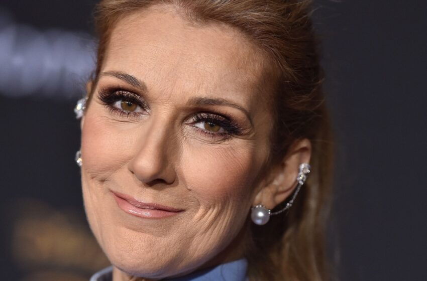 “Lujosa, a pesar de una enfermedad grave”: Celine Dion en miniatura causó sensación en los “Grammy 2024”