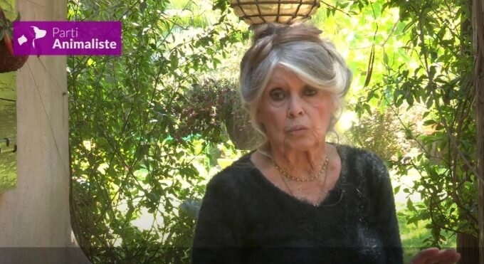 Brigitte Bardot Ya Tiene 88 Años ¿cómo Ha Sido La Vida De La Actriz Que Tuvo 4 Esposos Y Más De