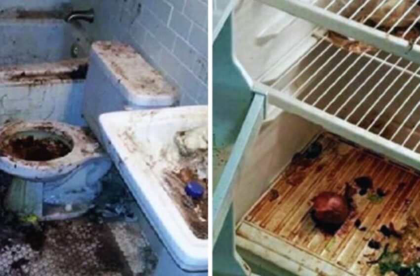 Un apartamento extremadamente sucio fue limpiado por limpiadores: ¡Fotos antes y después!
