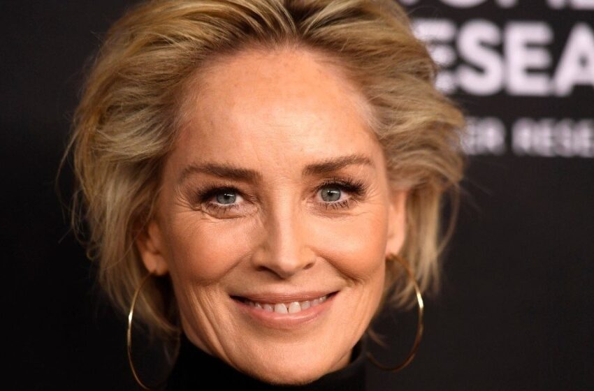 Los hijos de Sharon Stone ya son adultos: ¿Cómo lucen ahora los herederos de la estrella, a quienes ella ocultó durante tanto tiempo?