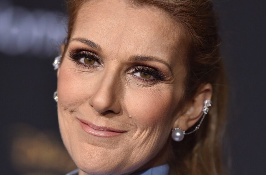  “Fotografía familiar rara de la estrella”: ¡Céline Dion, gravemente enferma, compartió nuevas fotos!