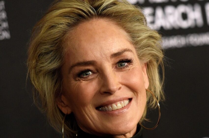  “Una Mujer De Su Edad Debería Ser Más Modesta”: ¡El Atrevido Atuendo de Sharon Stone Causó Mucha Sensación en la Red!