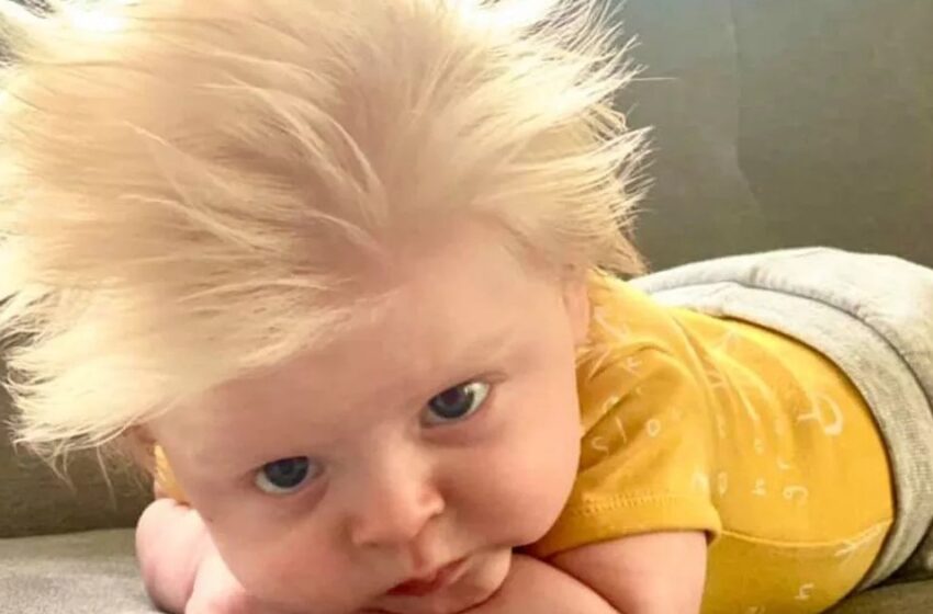 “Sorpresa Para Mamá y Papá”: ¡Un Bebé Nacido Con un Cabello Increíblemente Largo Cautiva a la Red Con Sus Fotos Adorables!