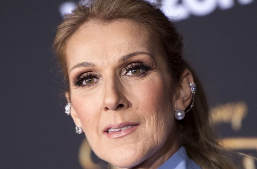  La reciente aparición pública de Celine Dion con una persona más joven ha generado algunos rumores de romance: ¿Son sus relaciones serias?