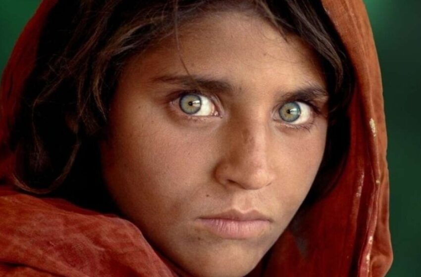 La chica afgana en la foto ya tiene 50 años: ¿Cuál fue su destino más tarde?