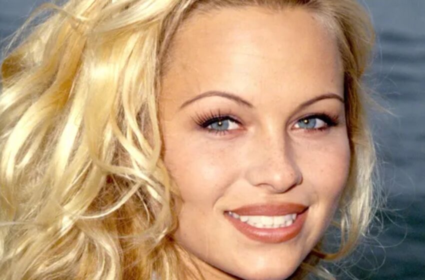 “Vendió su casa por $11.8 millones para mudarse a la antigua granja de sus abuelos”: ¿Por qué eligió Pamela Anderson vivir sola con sus 5 perros?