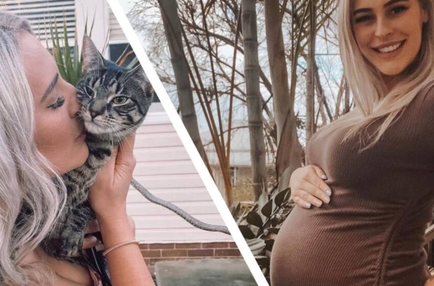  El gato fue el primero en darse cuenta de que su dueña estaba embarazada: Todos se sorprendieron al ver cómo la mascota comenzó a prepararse para la llegada del bebé.