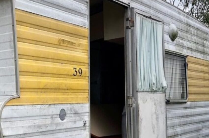 Buenas personas le dieron a una mujer sin hogar un viejo remolque: ¡Ella lo convirtió en una acogedora casa en medio del bosque!