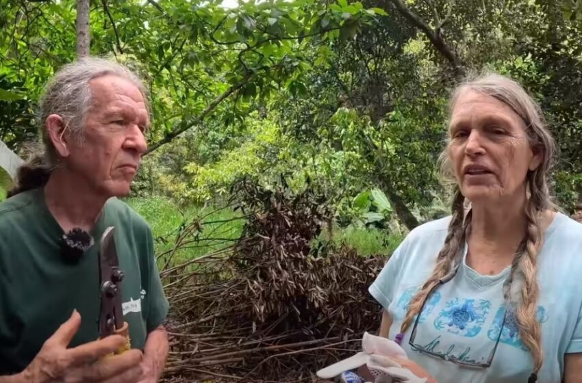  “La pareja que abandonó la civilización ha estado viviendo en la selva durante 50 años”: ¿Cómo es la vida sin televisión e internet?