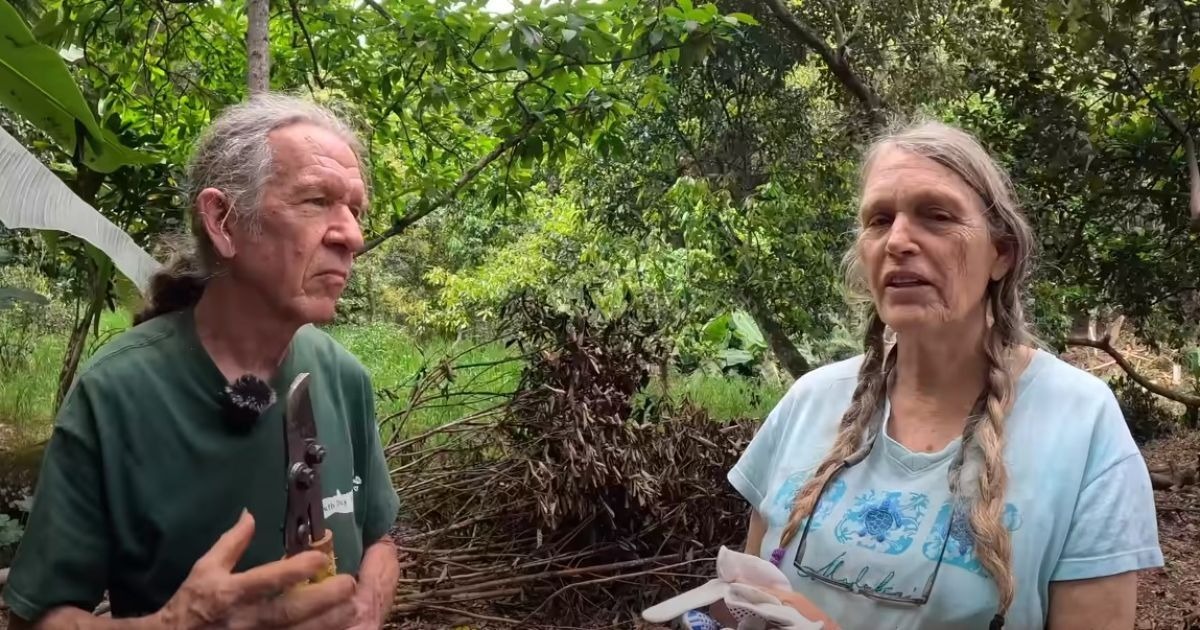 “La pareja que abandonó la civilización ha estado viviendo en la selva durante 50 años”: ¿Cómo es la vida sin televisión e internet?