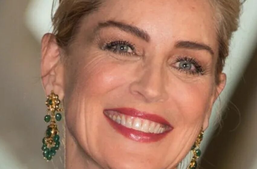 “¡Por favor, ¡vístete!”: ¡Sharon Stone fue criticada por su atrevido look sin ropa a los 66 años!