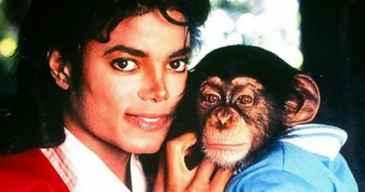 El chimpancé de Michael Jackson ya tiene 41 años: ¿Cómo se ve ahora Bubbles?