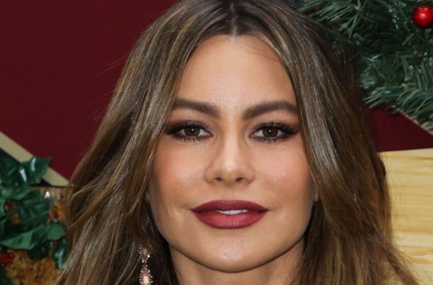 “Una Nueva Foto Picante en Tanga”: ¡Sofía Vergara Sorprendió a sus Fans con una Actualización en Instagram!