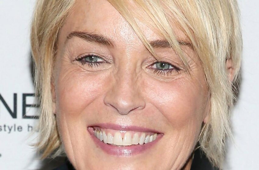 Actuó con tanta audacia: Sharon Stone, de 66 años, compartió una foto en un diminuto traje de baño y sin sujetador.