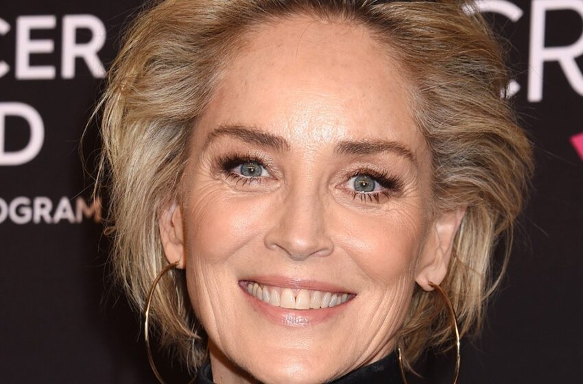 “¡Ella es tan diferente en realidad!”: ¡Sharon Stone fue fotografiada durante una caminata!