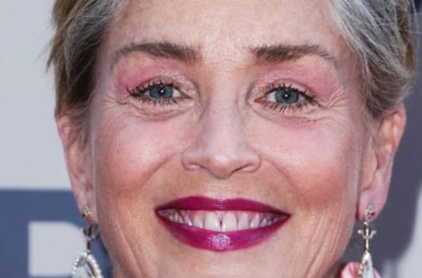 “Con tacones y en un bikini picante”: ¡Sharon Stone mostró cómo debería lucir una mujer de 66 años!