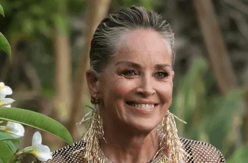“La mujer que no sabe cómo envejecer”: ¡Sharon Stone, de 66 años, causó sensación con su atuendo transparente!
