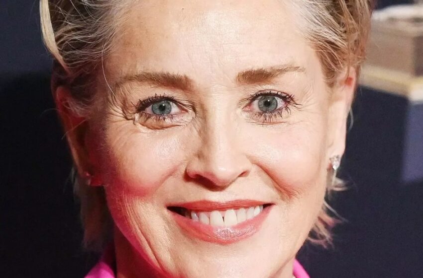 “Todo el mundo habla de un detalle en particular”: ¡Sharon Stone, de 66 años, asistió al festival de cine con un vestido mini super corto!