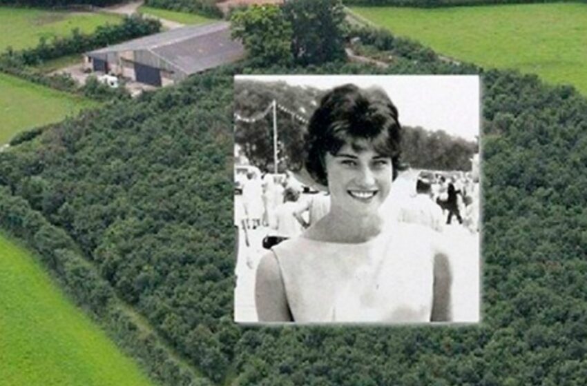Tras perder a su esposa, plantó 6,000 robles: ¡Solo 30 años después, quedó claro lo que quería hacer!