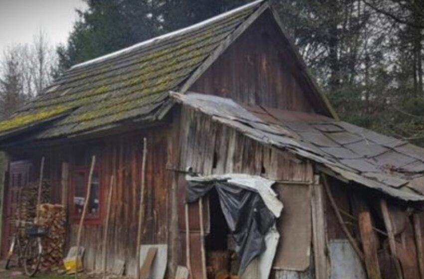 Una pareja bondadosa compra alimentos para una abuela solitaria y ¡reconstruye su hogar en solo 5 días!