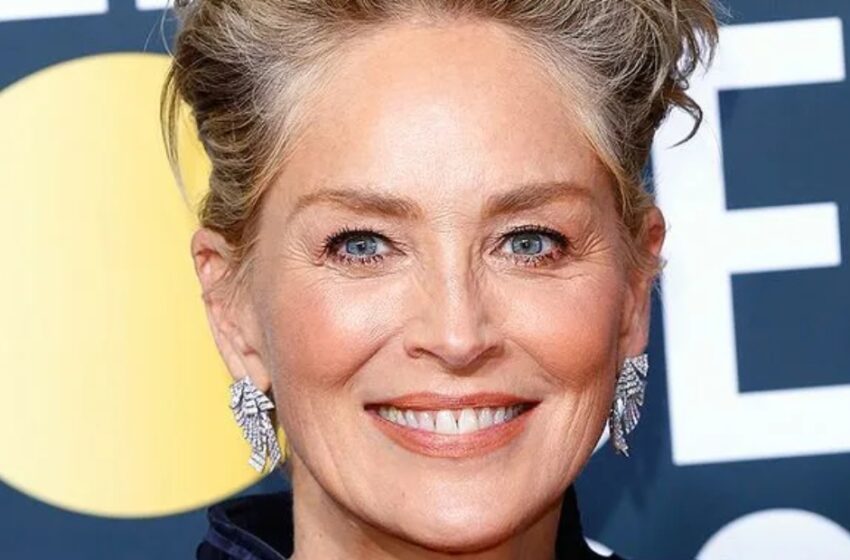  ¡Sharon Stone, de 66 Años, Posó Desnuda para la Portada de una Revista de Moda, Asombrando a Sus Fans: ¡Las Fotos Más Audaces de Stone que Has Visto!