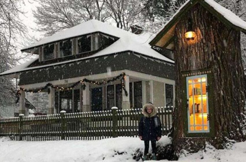  ¡Una Mujer Transformó un Árbol Muerto de 110 Años en una Acogedora Biblioteca: “¡La Transformación Más Creativa y Asombrosa Que Has Visto!”!