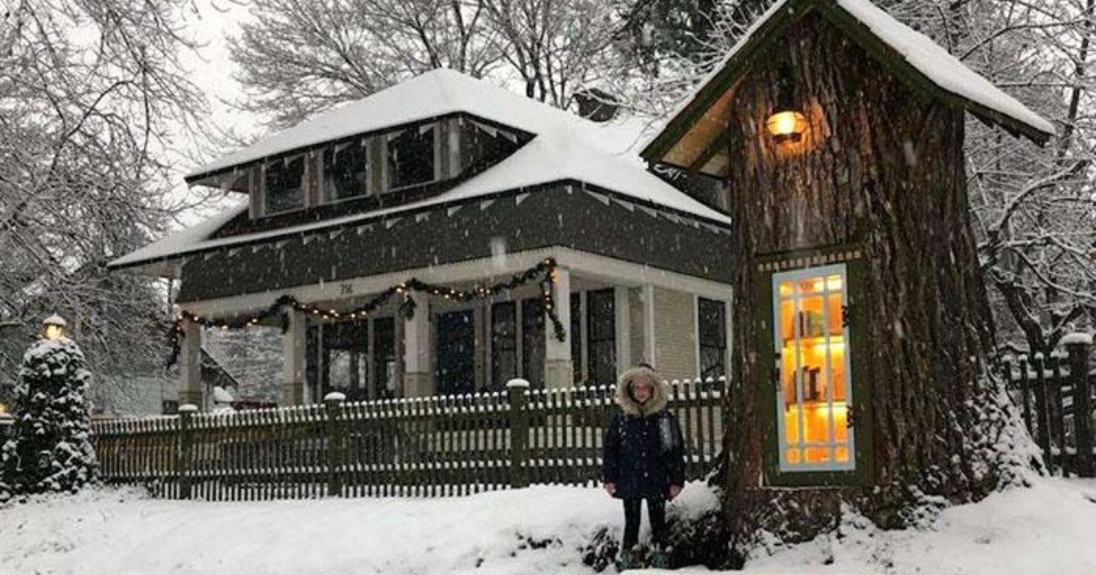 ¡Una Mujer Transformó un Árbol Muerto de 110 Años en una Acogedora Biblioteca: “¡La Transformación Más Creativa y Asombrosa Que Has Visto!”!