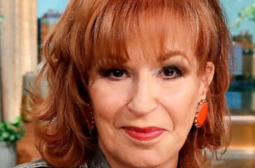  “La estrella esperó por su amor durante casi 3 décadas”: Joy Behar reveló por qué tardó tanto en casarse con el maestro jubilado, 7 años menor que ella.