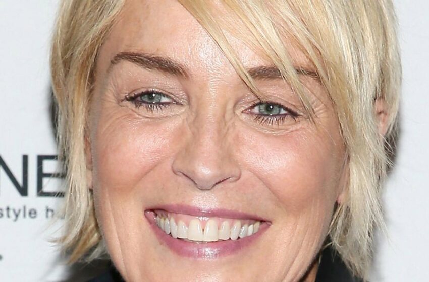  Actuó con tanta audacia: Sharon Stone, de 66 años, compartió una foto en un pequeño traje de baño y sin sujetador.