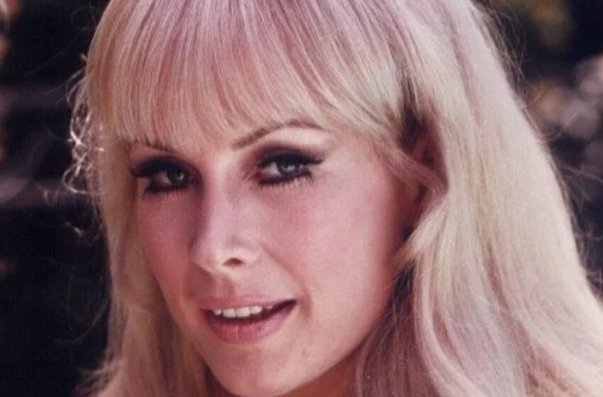  “Su rostro luce ‘poco natural’ debido a múltiples intervenciones estéticas”: ¡La apariencia de Barbara Eden a los 93 años desconcierta a sus fanáticos!