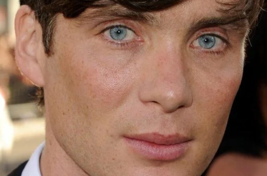  “Cillian Murphy ha cambiado drásticamente su peinado”: ¡Mira cómo luce ahora!