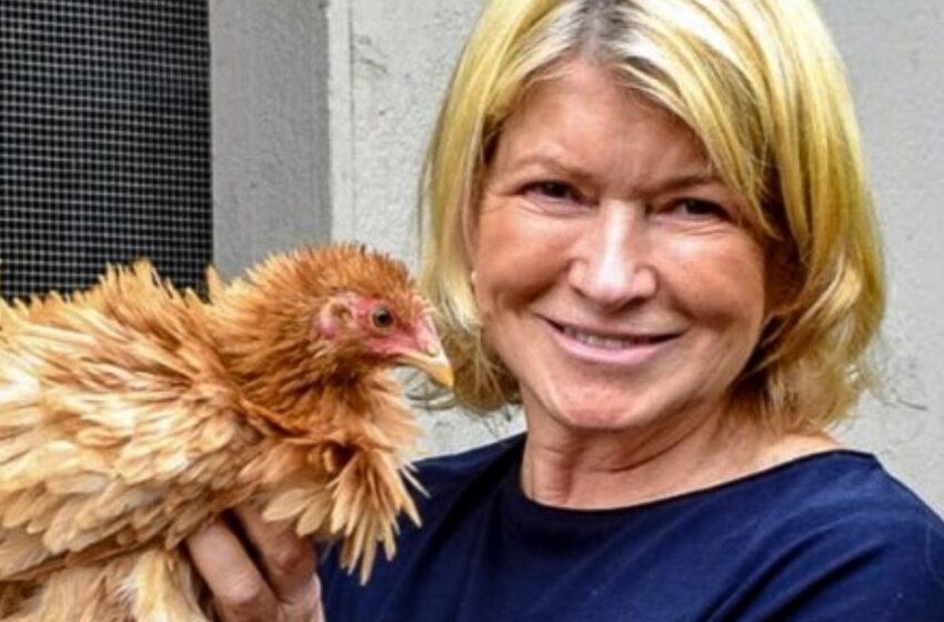  Martha Stewart, 80 años, de la crítica al traje de baño a la abuela consentidora en la granja: ¿Cómo luce ahora?