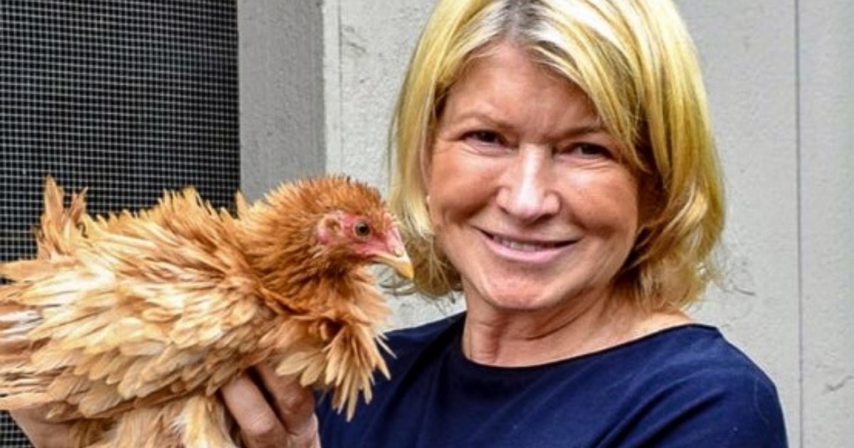 Martha Stewart, 80 años, de la crítica al traje de baño a la abuela consentidora en la granja: ¿Cómo luce ahora?