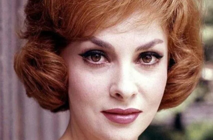  “¡El nieto de Gina Lollobrigida heredó sus genes y creció para convertirse en un verdadero galán!” ¿Cómo se ve?