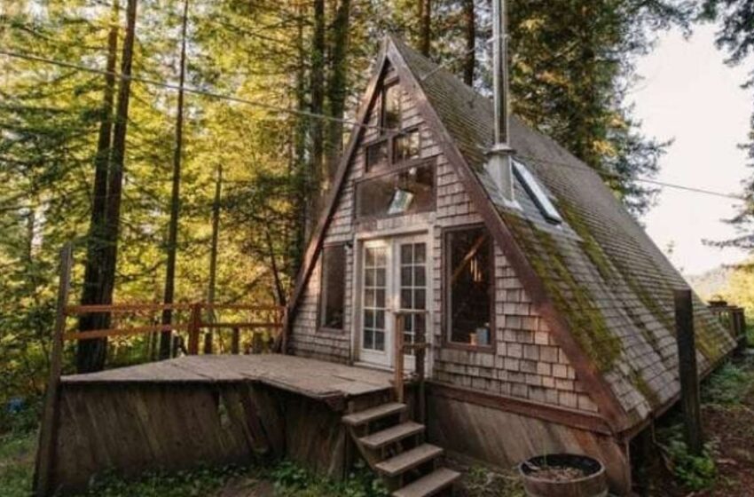  “¿Es solo un techo en el bosque?”: ¿Cómo luce esta casa única por dentro?