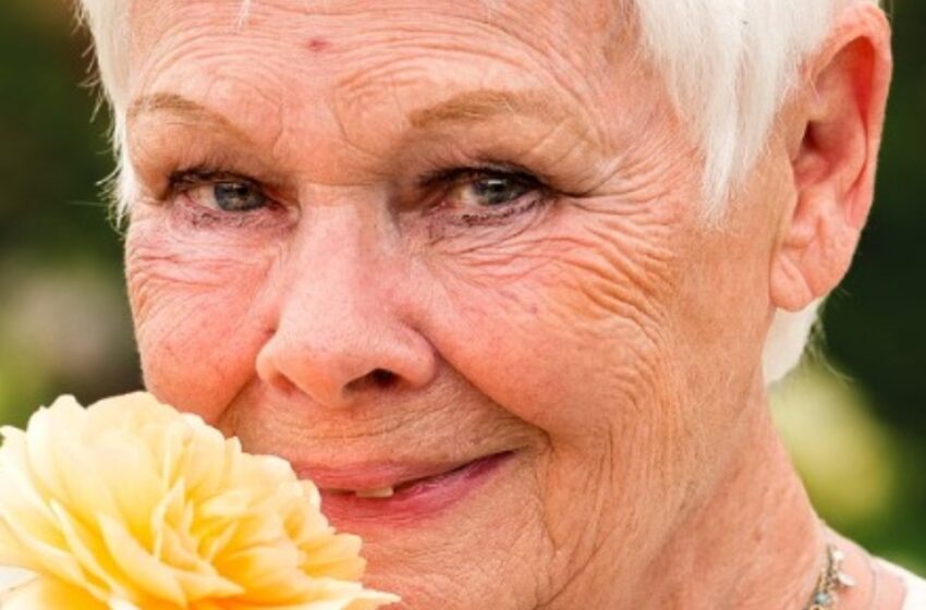  ¡El nieto de Judi Dench, de 27 años, sorprende a los fanáticos con su apariencia y su conmovedor acto de amor!