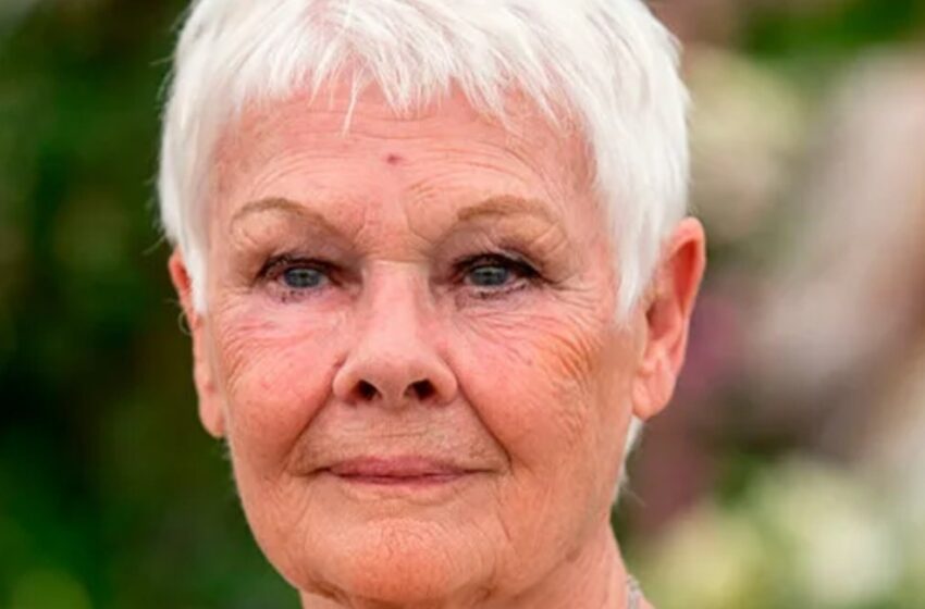  Judi Dench No Estaba Deprimida Después De Perder A Su Esposo De 30 Años: ¡Encontró Un Nuevo Amor A Los 76!