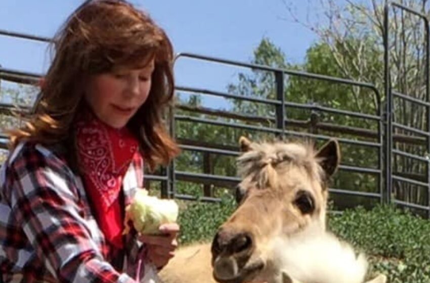  “Dejó Su Carrera Para Vivir en un Rancho Cuidando Animales a los 74 Años”: ¿Quién Es Esta Estrella de Hollywood Que Transformó Su Vida?