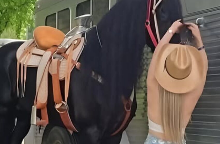 El hombre pidió el divorcio después de recibir esta foto: ¿Puedes adivinar por qué?