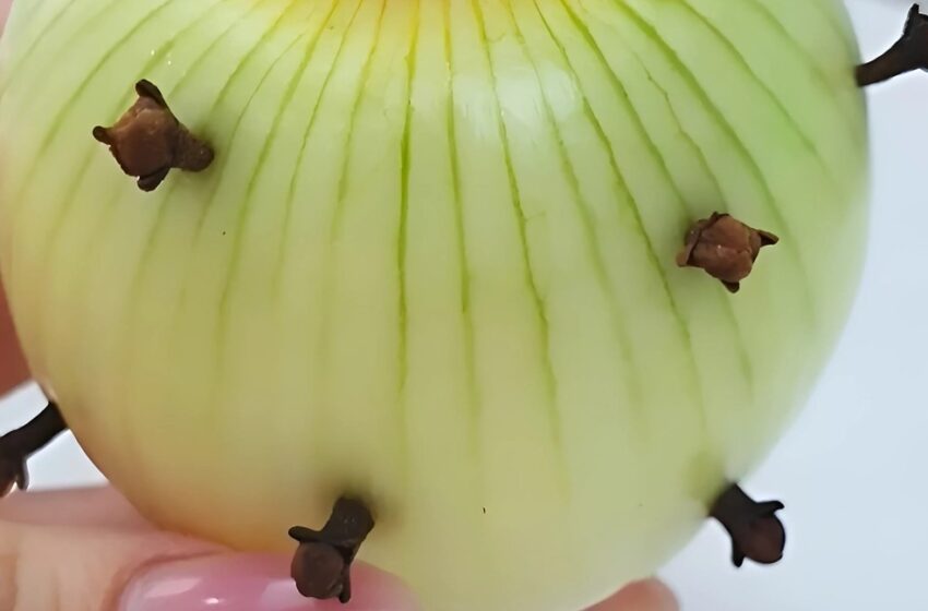 “Clavos en cebollas”: ¡Un sorprendente truco de chef francés que te dejará asombrado!