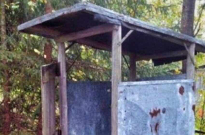  “Transformando ruinas en lujo”: ¡Cómo un hombre convirtió un viejo inodoro en una obra de arte!