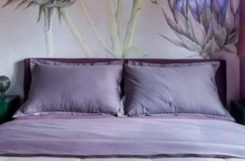 ¡Una abuela joven de 50 años mostró su elegante apartamento estudio de 32 m²! ¿Cómo es?